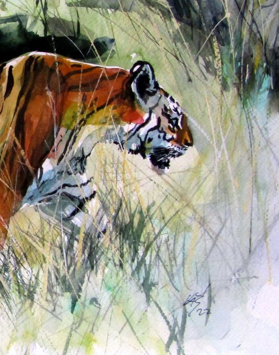 Collarwali Mataram III