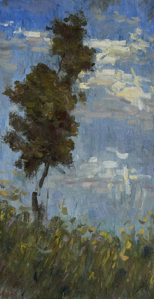 Impressionistic Landscape Oil Painting By Bohdan Dobrivskyi, 12 X 24, Tree, Original Artwork