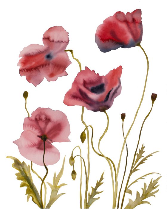 Poppies No. 3