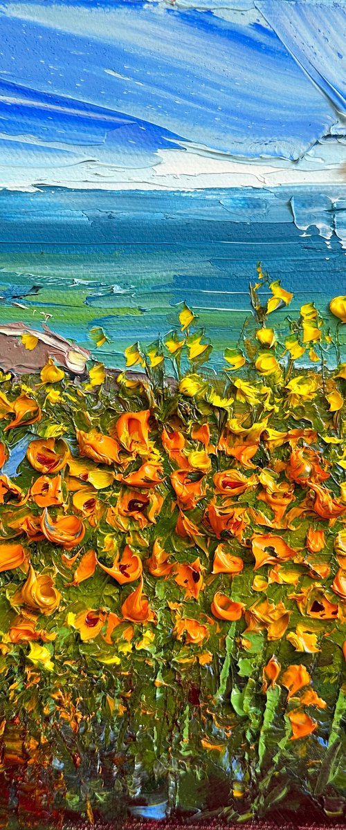 Poppy Coast by Lisa Elley