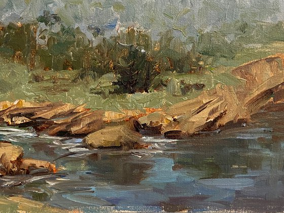 Foggy Morning Point Lobos Plein Air Landscape