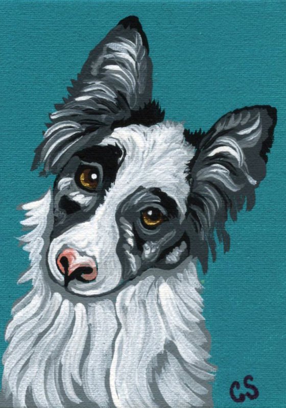 ACEO ATC Original Painting Blue Merle Border Collie Pet Dog Art-Carla Smale