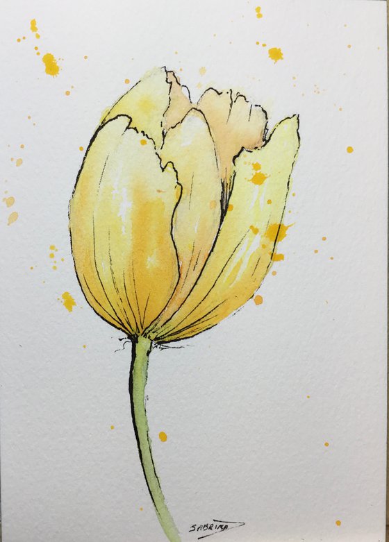 Yellow tulip