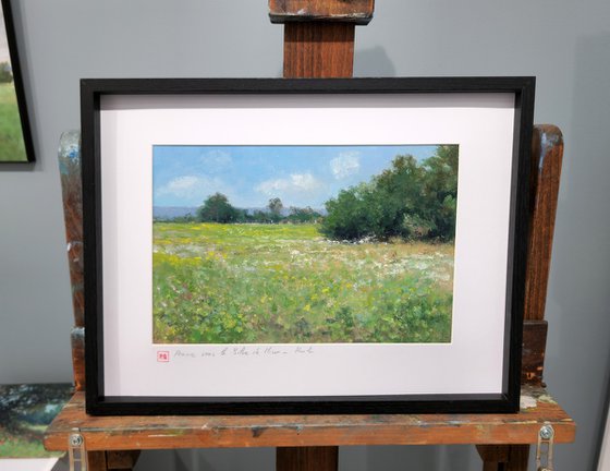 Meadow in Provence