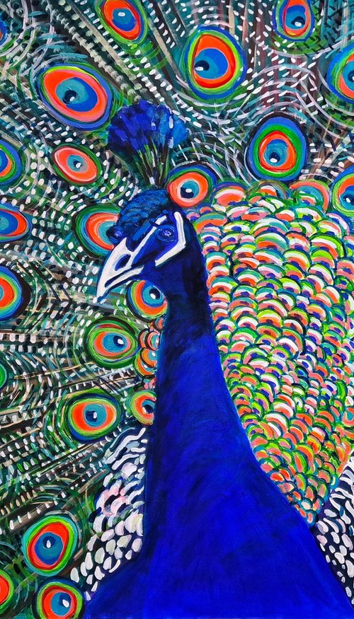 Peacock by Alexandra Djokic