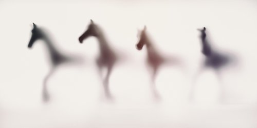 WILD LENS - HORSES IV by Sven Pfrommer