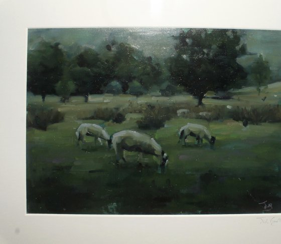 Flock At Rest