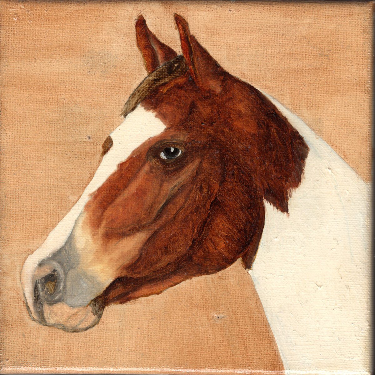 Der Pferdekopf by Michael B. Sky