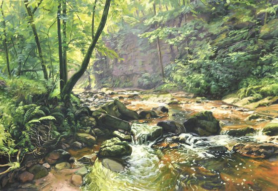 Morning Light On The Sumène