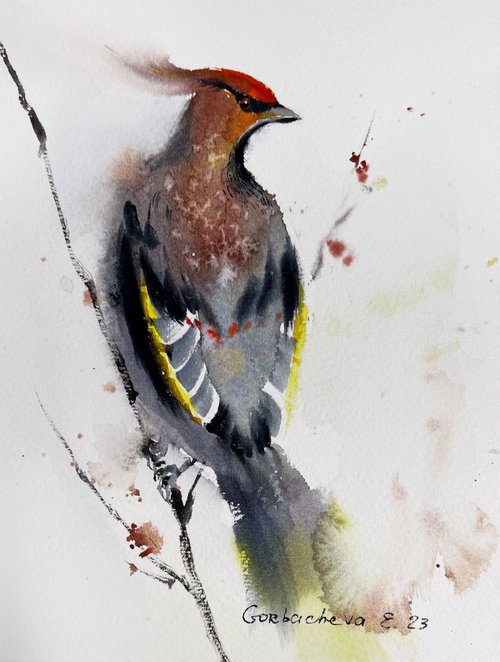Waxwing bird by Eugenia Gorbacheva