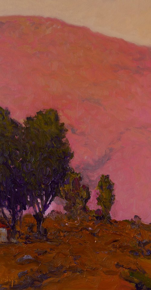 Pink Mountain at Dusk by Suren Nersisyan