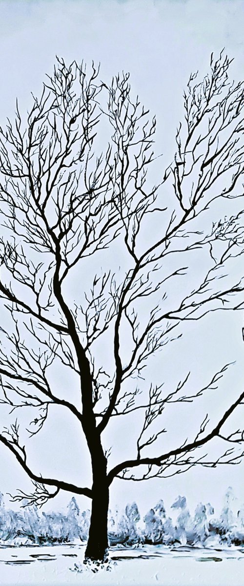 Snow landscape by Daniel Urbaník