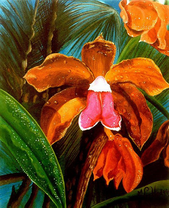 Cattleya