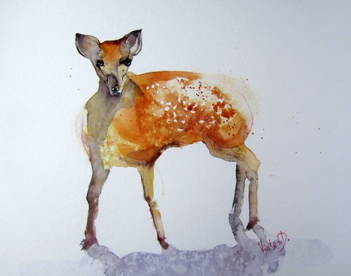 A Fawn approaching by Violeta Damjanovic-Behrendt