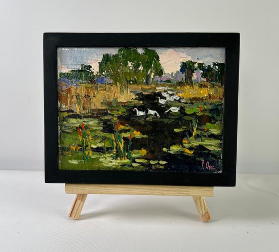 Geese in the lake