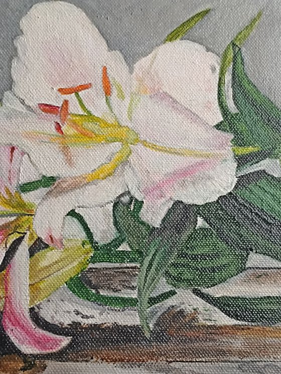 White lily