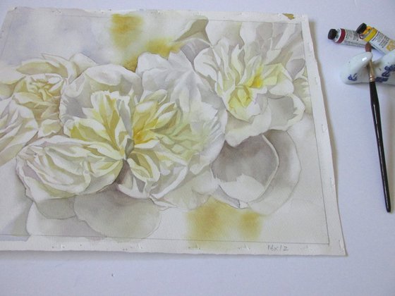 white peonies with yellow