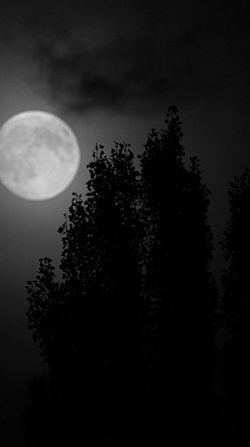 Moon and Tree by Charles Brabin