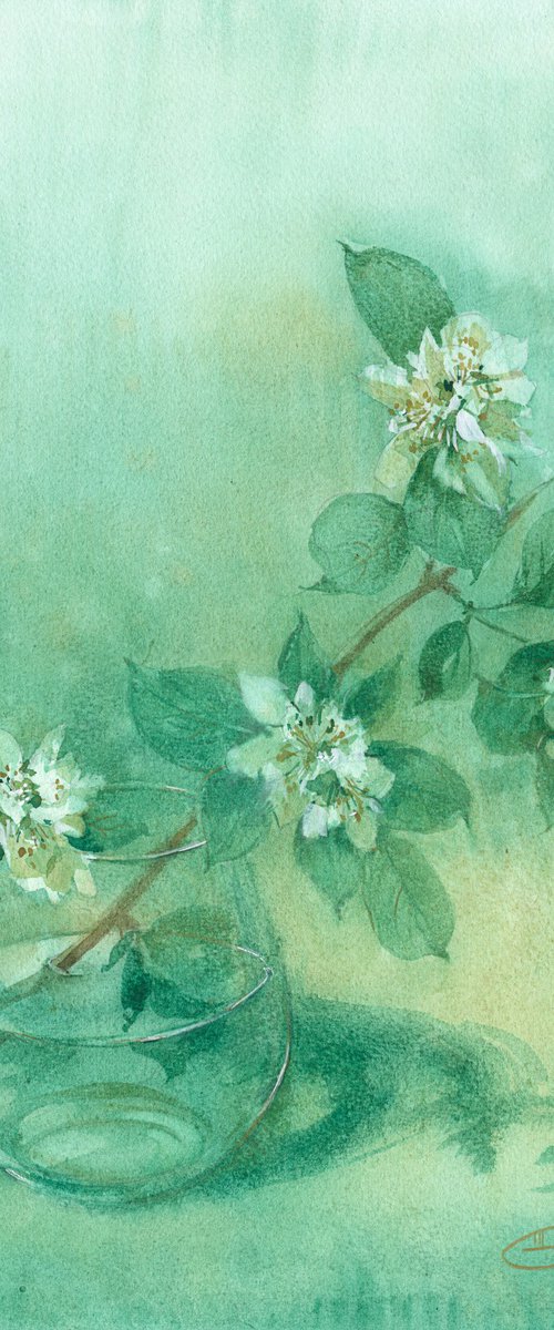 Branch of jasmine by Tatyana Tokareva