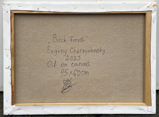 " Birch forest "