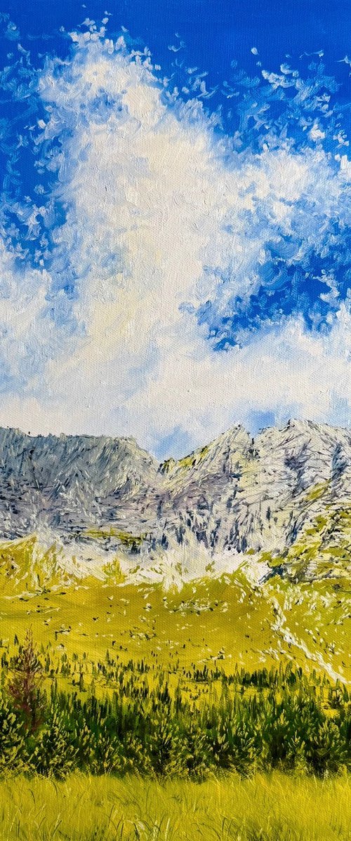 “Malga Montasio, Italy” by Yuliia Halata