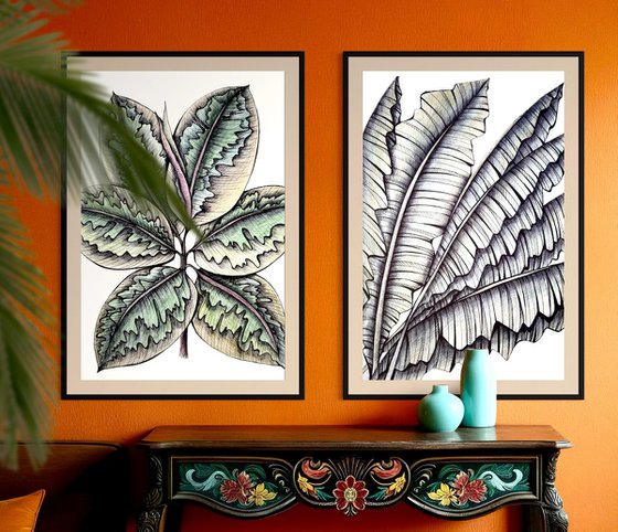BANANA LEAVES DRAWING