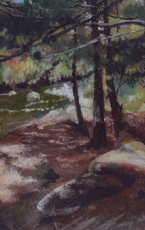 Red Granite Falls Trail by Joanne Carmody Meierhofer