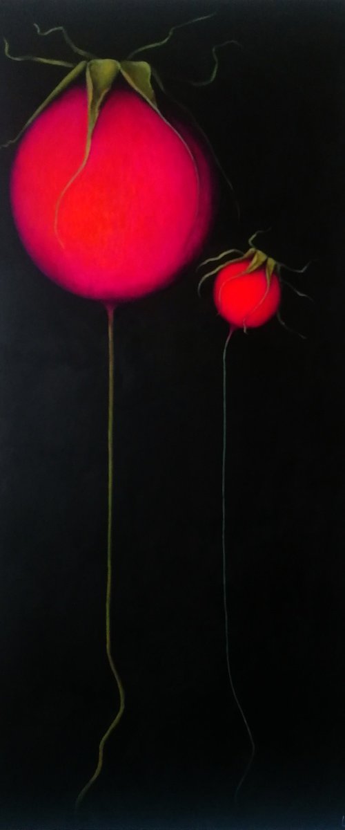 Luftballons by Louisa Corr