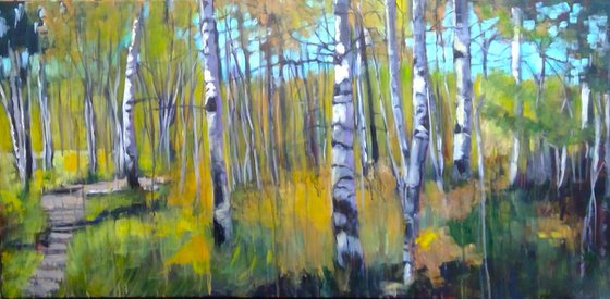 Birch Forest Clearing
