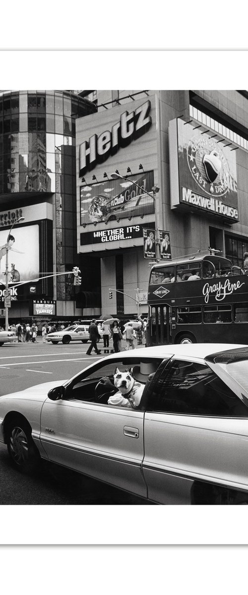 Times Square, New York, USA. by John Angerson Studio