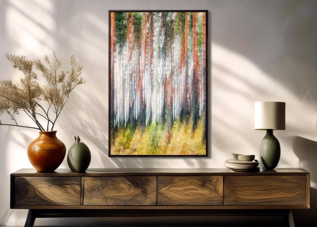 Abstract Landscape Photograph By Karim Carella, 31 X 45", Metsa? (Studio 8), Original Artwork