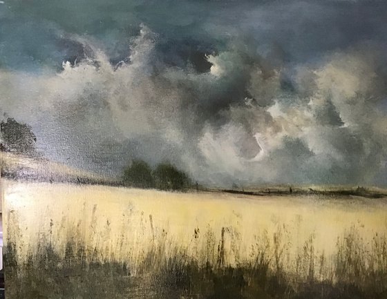 IN A IRISH MEADOW