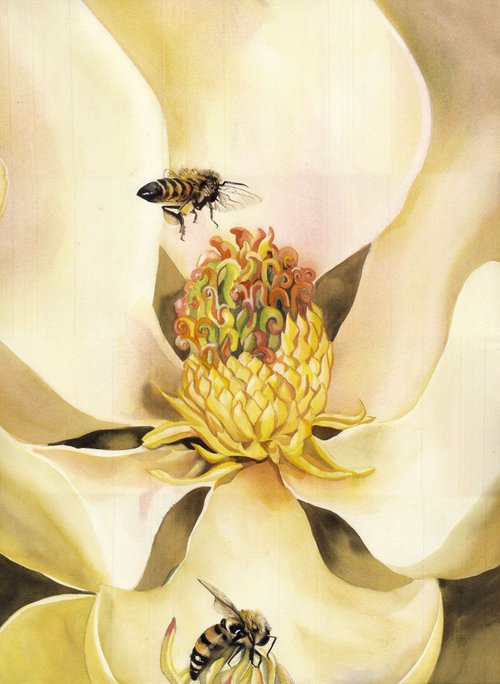 Beauty and the bees by Alfred  Ng