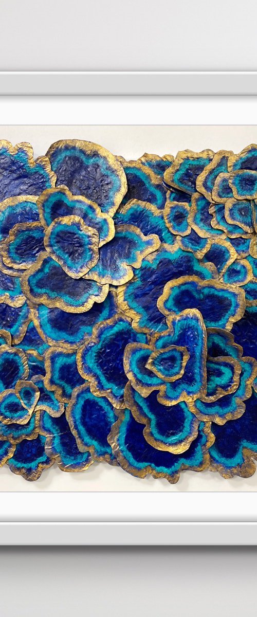Blue TurkeyTail by Swapna Namboodiri