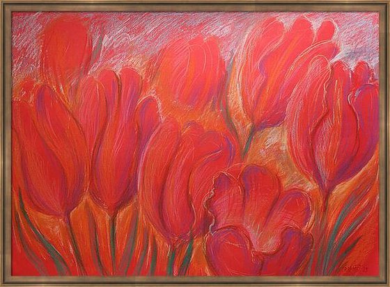 Tulips Red 3