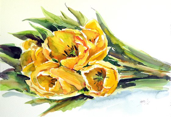Yellow tulips