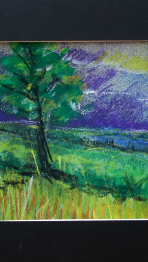 Selborne VI by Paul J Best