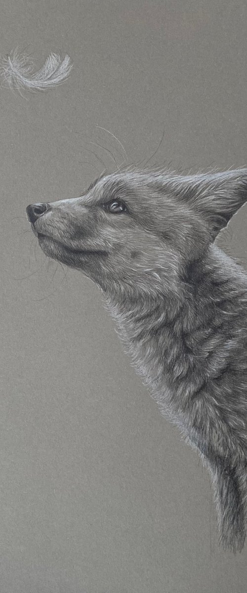 Fox by Tatjana Bril