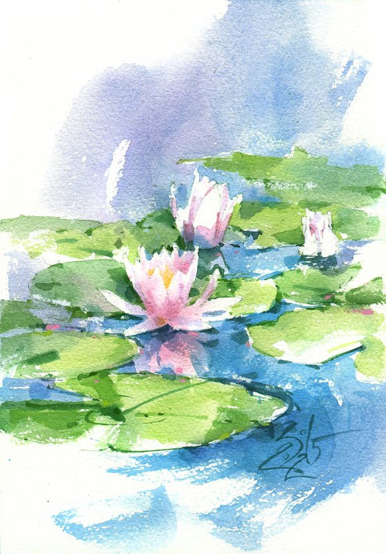 Pink Lotuses. Melody of river