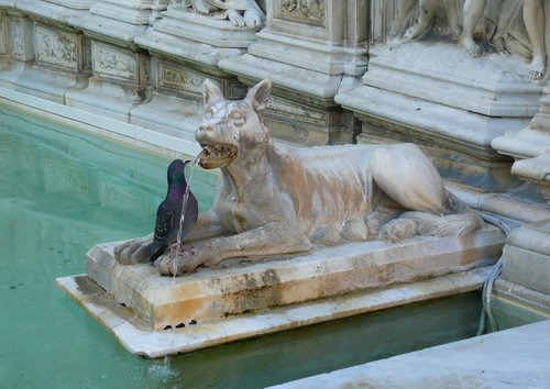 Fountain in Siena by Natalia Veyner