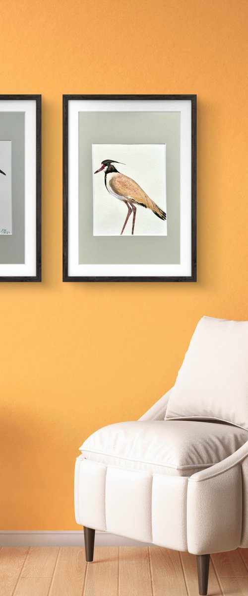 Twin birds Northern Lapwing by Yuliia Sharapova