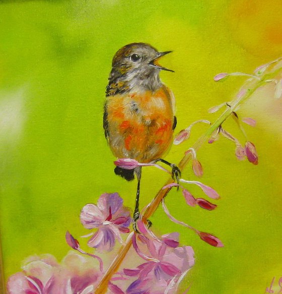 Britain bird painting Robin