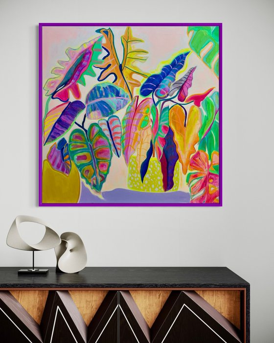 'Alocasia Revelation’