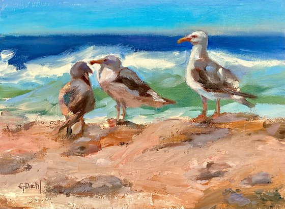 Seabirds