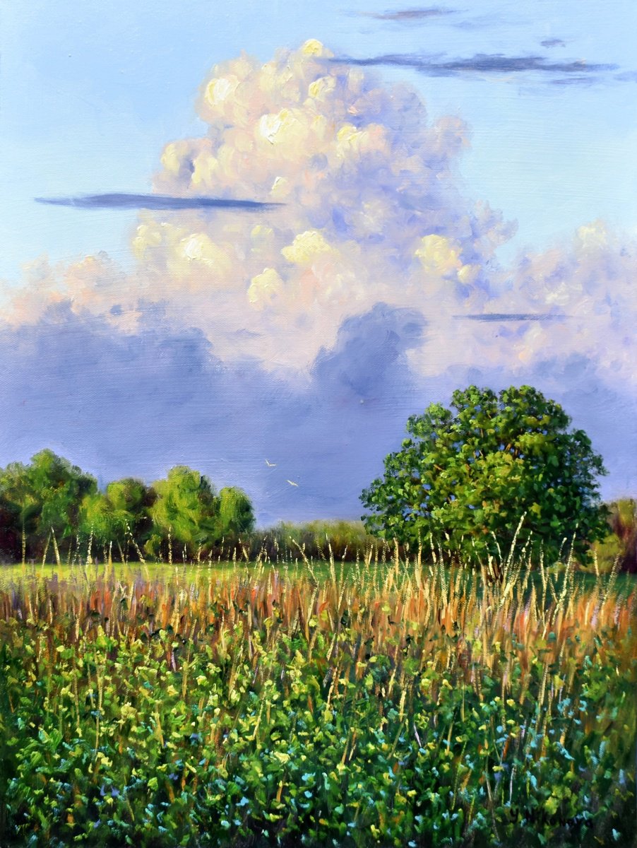 Impressionistic Landscape Oil Painting By Yulia Nikonova, 18 X 24", Luminous Cloud, Original Artwork