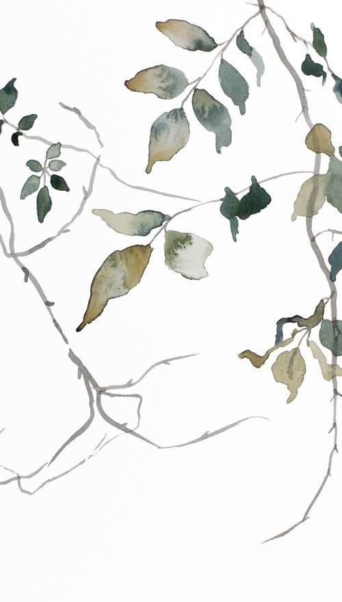 The Woods No. 145 by Elizabeth Becker