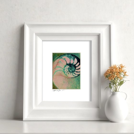 Nautilus Shell Collection 21