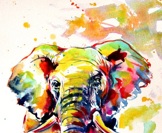 Colorful elephant