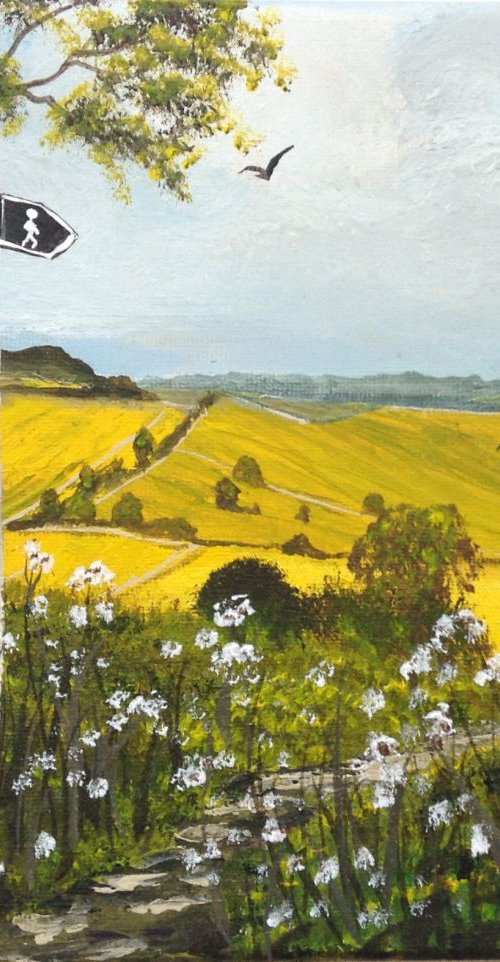Cranborne Chase by Marja Brown