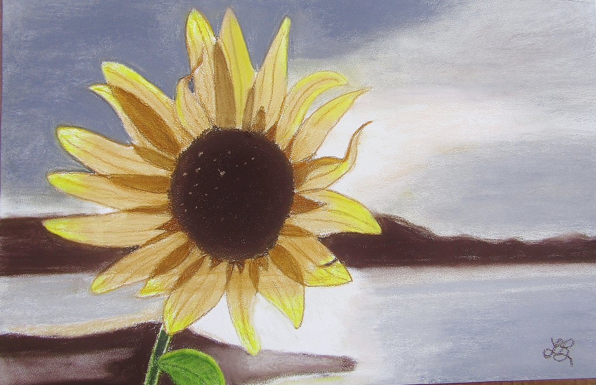 Sunflower by Linda Burnett